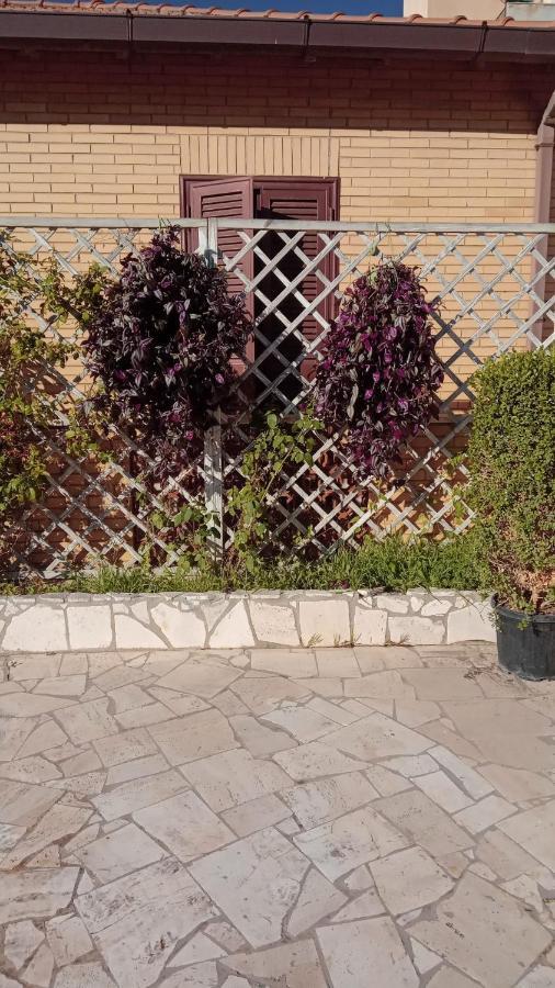 Rosilienza Suites Private Spa, Patio Garden Free Trasfer To & From Airport Fiumicino Exterior photo